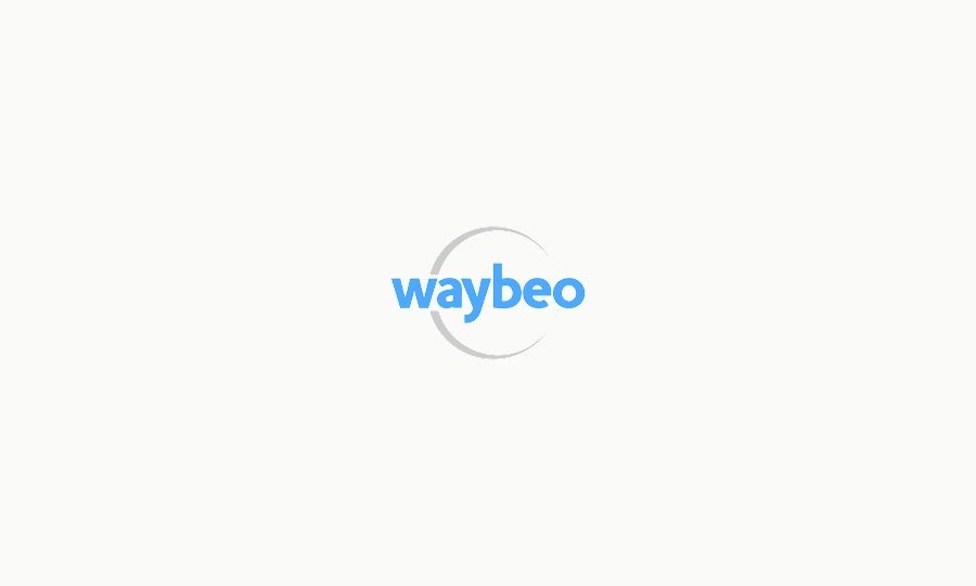 Waybeo - AI Insights & Call Analytics